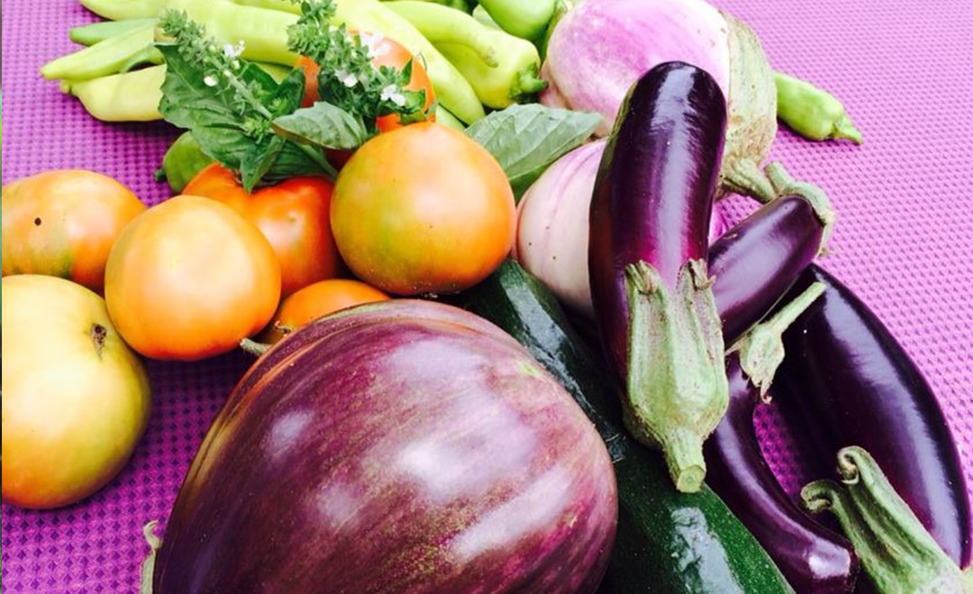 Garden Tours 02 Backyard Bees